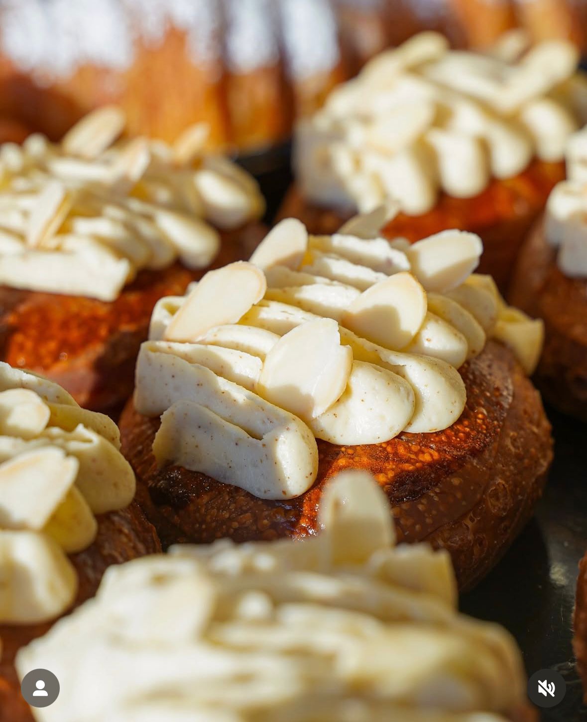 The Art of Cake Decorating for Beginners